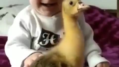 cute kid and Bird friendship must watch guys