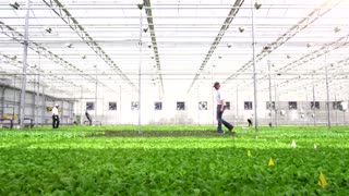 Investors plant money in indoor farms