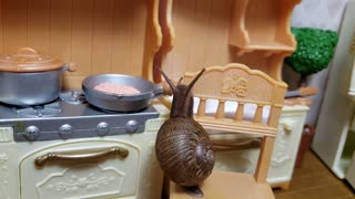Tiny Snail Cooks Dinner, A Slow Cooker Adventures