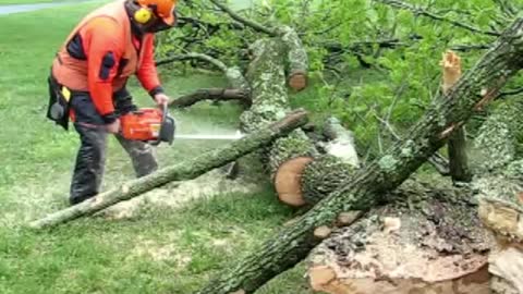 Lift A Log: Rescue Technique