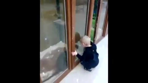 The kid is watching the monkey, very funny