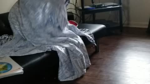 Ghost dancing