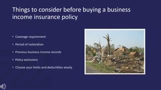 Business Interruption Insurance