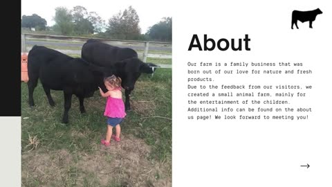 Grass-Fed Beef - Aitken Farm & Ranch