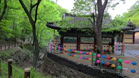 Korean temple with a lotus lantern