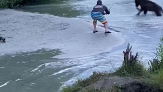 Brown Bear Snatches Sockeye Salmon From Fisherman