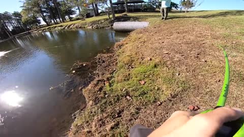 This POND is LOADED / Monster Bass (Bank Fishing)