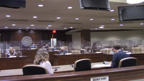 Gun Owners of Arkansas Lawyer testifies against language in Stand Your Ground Law 2