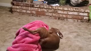 Jackson loves his pink blanket