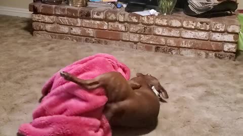 Jackson loves his pink blanket