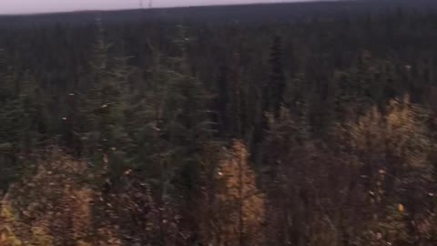 Coming back from my property, South of Glennallen, Alaska no. 6