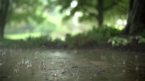 Beautiful nature without music - the sound of rain for relaxation and sleep - physiotherapy