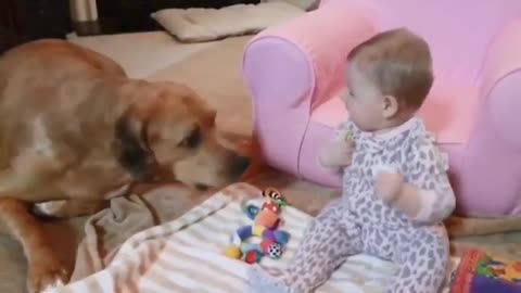 The baby play with the dog