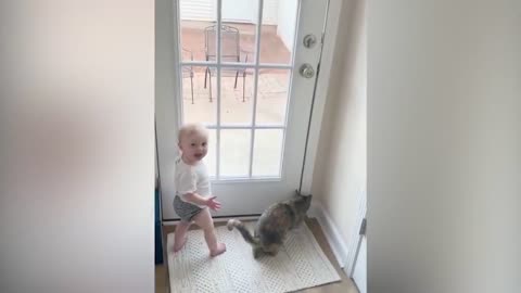 Funny Cats And Babies Playing Togetherr with care