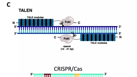 What are genome editing and CRISPR-Cas9? #shorts