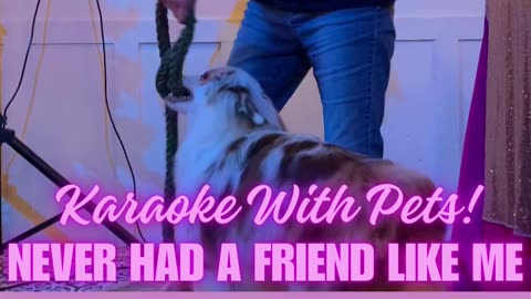 Pet Karaoke | Never Had A Friend Like Me Featuring Swirl The Dog | I Sing With Jeannie Karaoke