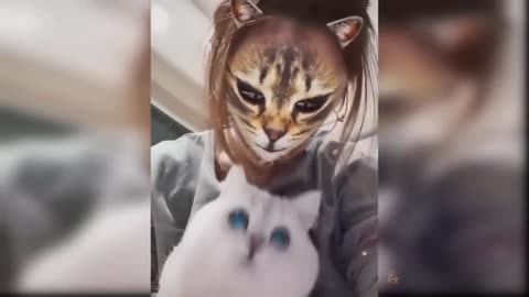 The Best Funny Cats 2021