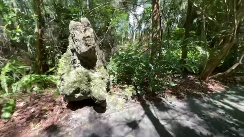 A Pure Zen Walk-Through of Florida’s Morikami Gardens - Viva Life