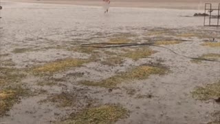 Farmer Excited to See Rain After Harsh Drought