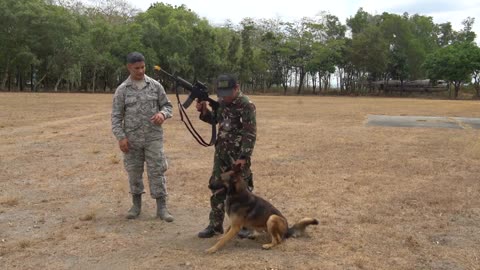 Balikatan 2019 PAF USAF military working dog training CLARK AIR BASE PHILIPPINES