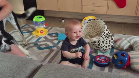 Baby finds dog's barking absolutely hysterical