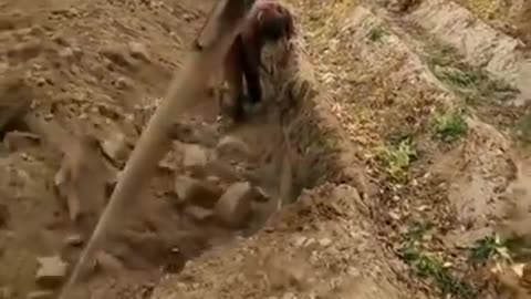 surprised to see strange digging machine