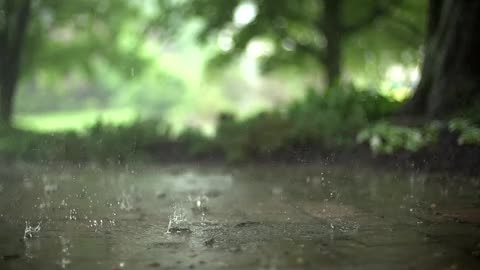 Raindrops_Videvo_x264..