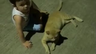 How cute little boy plays with cat