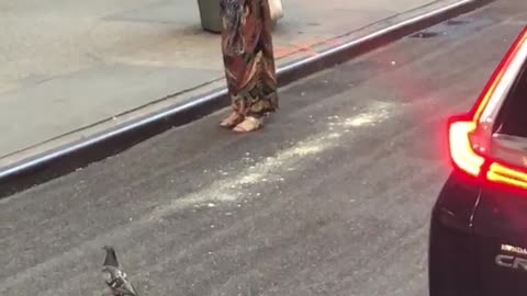 Girl lady catches pigeon on street puts in bag