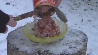 Moment Neighbours Fat Cat Interrupts Mans Food Review