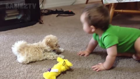 Cute little babies playing with cats and dogs!Adorable moments captured on Camera