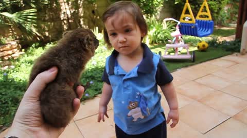 Ashi Meets the Baby Hyrax