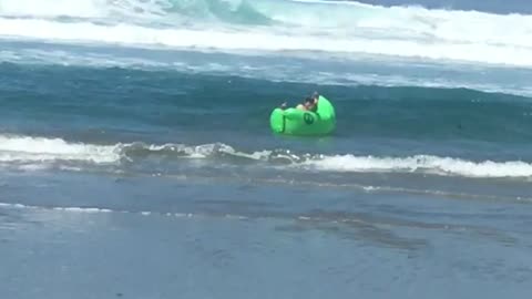 Shred it guy in green inflatable hammock black hat ocean beach
