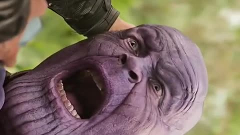 thor vs thanos funny video must watch \