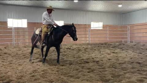 Ramon Castro Horsemanship: Maddie Under Saddle