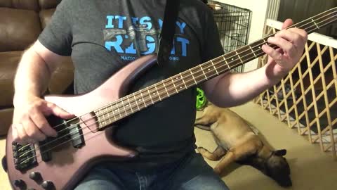 South City Midnight Lady Bass Cover by The Doobie Brothers