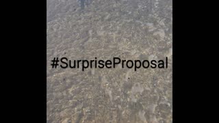 Surprise Sunset Beach Proposal, He wants to marry her!