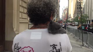 Shoulder Kitty