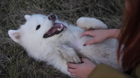 A woman playing with her lovely dog