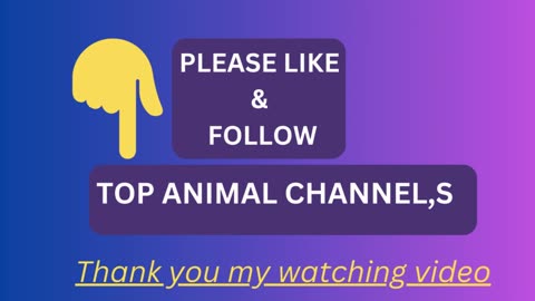 TOP ANIMAL CHANNEL,S