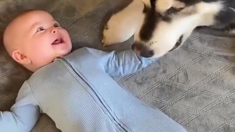 The little boy has a best friend's dog to pet... 💖