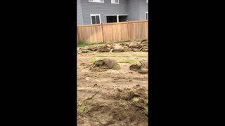 Dad Builds His Own Baseball Field in Backyard