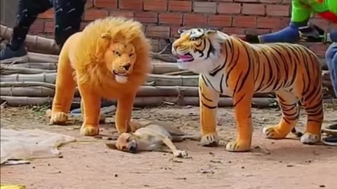 Troll Prank Dog Funny & fake Lion and Fake Tiger Prank To dog & Huge Box Prank to dog part 2