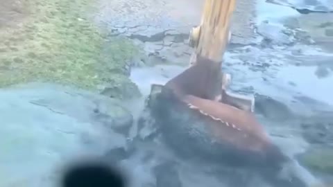 Rescuing a horse who is unable to escape this deep mud 🙏🏽❤⁣