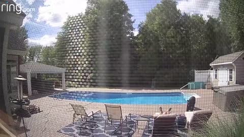 Bear Wakes Up Guy Taking a Nap By The Pool