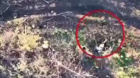 The drone is working. Russia-Ukraine (war)