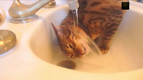 I like tap water !