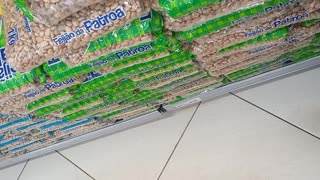 No supermercado fazendo compra