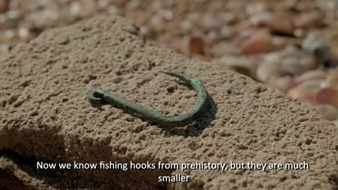 FIN AMAZING: 6,000-Year-Old Fishhook Was Used To Catch Sharks