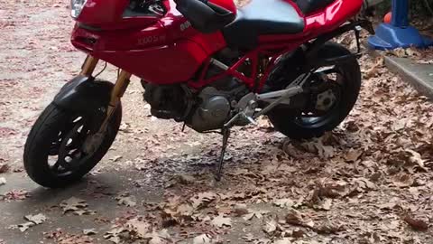 Ducati multistrada 1000s ds